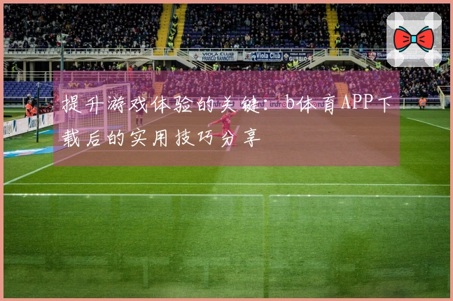 提升游戏体验的关键：b体育APP下载后的实用技巧分享