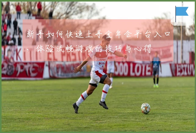 新手如何快速上手金年会平台入口，体验流畅游戏的技巧与心得